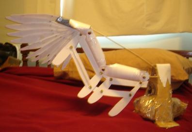 Wing Scale Model